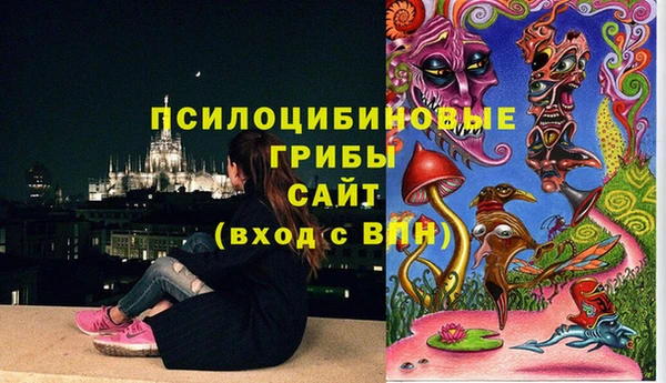 apvp Лихославль