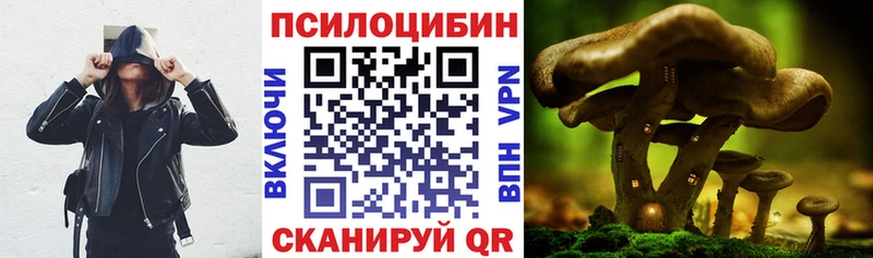 где купить наркоту  Липецк  Псилоцибиновые грибы GOLDEN TEACHER 